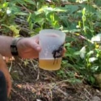 2021 - RIga in meditation @ Prati Dispari.jpg